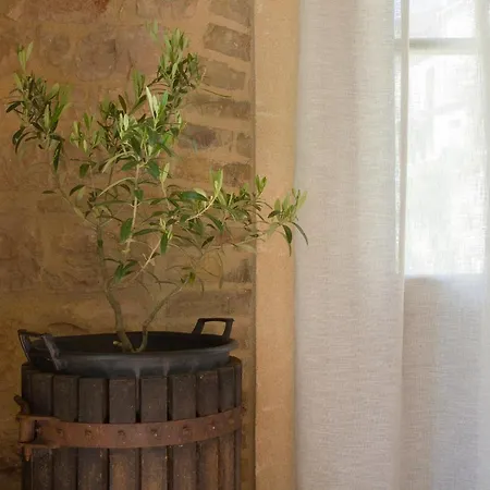 Bed & Breakfast B&B La Casetta Del Postino